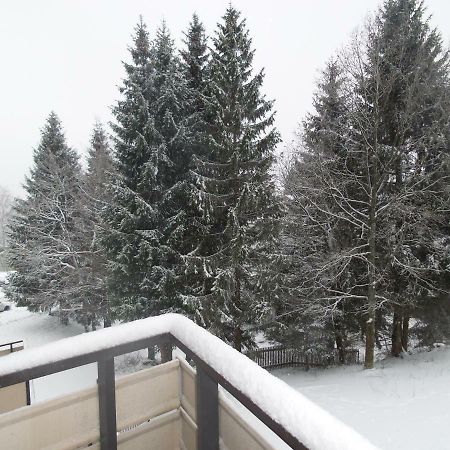 Ferienwohnung Mit Blick In Den Bayrischen Wald Oberhalb Von Sankt Engelmar Sankt Englmar Ngoại thất bức ảnh