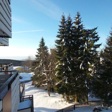 Ferienwohnung Mit Blick In Den Bayrischen Wald Oberhalb Von Sankt Engelmar Sankt Englmar Ngoại thất bức ảnh